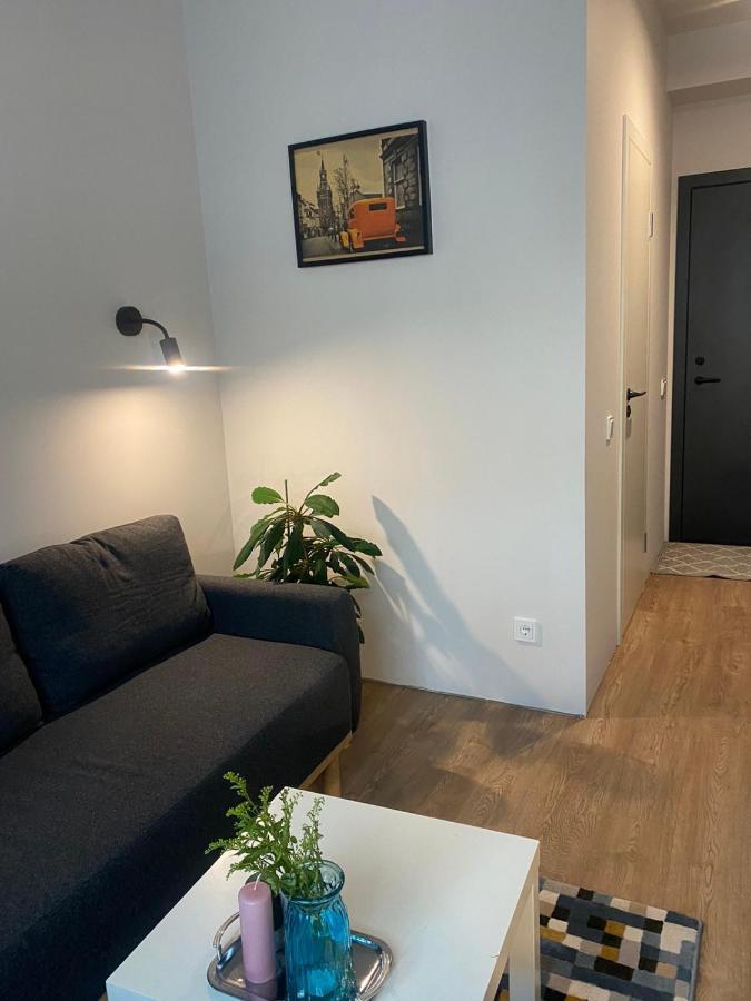 Lovekaunas Apartments Eksteriør billede